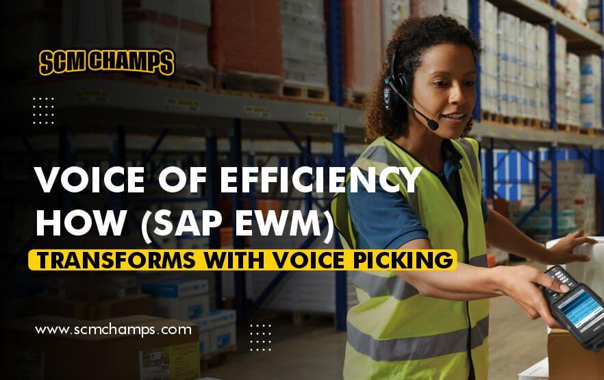 voice-of-efficiency-sap-ewm